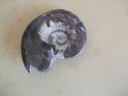 ファイル 2716-4.jpg