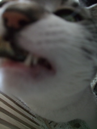 ファイル 272-1.jpg