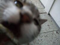 ファイル 272-2.jpg