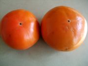 ファイル 2720-1.jpg