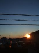 ファイル 2723-1.jpg