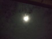 ファイル 2730-1.jpg