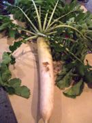 ファイル 2731-1.jpg