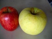 ファイル 2736-1.jpg