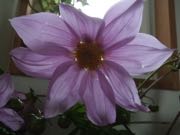 ファイル 2741-2.jpg