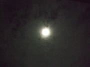 ファイル 2746-1.jpg