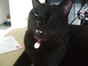 ファイル 2746-3.jpg