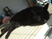 ファイル 2751-1.jpg