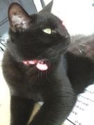 ファイル 2759-1.jpg