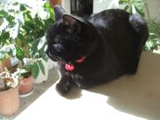 ファイル 2768-1.jpg