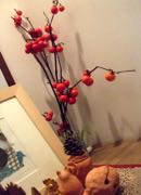 ファイル 2770-1.jpg