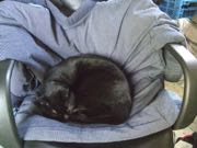 ファイル 2774-1.jpg