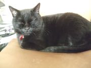 ファイル 2776-4.jpg