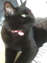 ファイル 2777-4.jpg