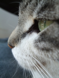 ファイル 278-1.jpg