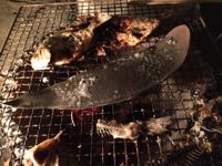 ファイル 2791-5.jpg