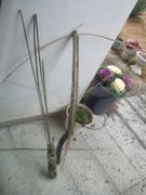 ファイル 2792-1.jpg