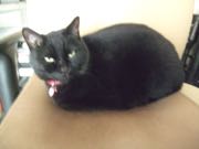 ファイル 2795-1.jpg