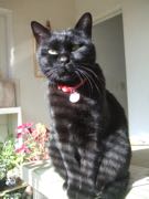 ファイル 2796-4.jpg