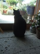 ファイル 2801-3.jpg