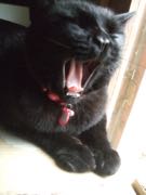 ファイル 2801-4.jpg