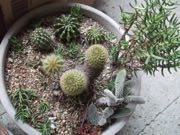 ファイル 2807-1.jpg