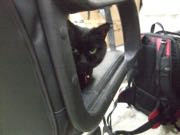 ファイル 2808-1.jpg