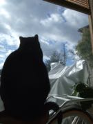 ファイル 2809-1.jpg