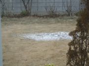 ファイル 2816-1.jpg