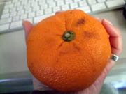 ファイル 2821-1.jpg