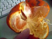 ファイル 2821-2.jpg