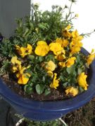 ファイル 2827-1.jpg