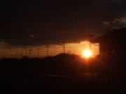 ファイル 2830-1.jpg