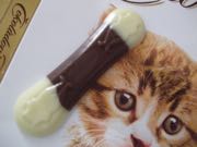 ファイル 2831-1.jpg