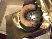 ファイル 2832-2.jpg