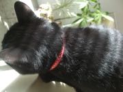 ファイル 2838-1.jpg