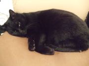 ファイル 2840-1.jpg