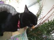 ファイル 2840-3.jpg