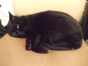 ファイル 2840-4.jpg