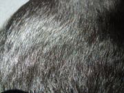 ファイル 2845-1.jpg