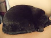 ファイル 2845-2.jpg