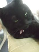 ファイル 2850-1.jpg