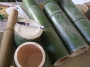 ファイル 2856-1.jpg