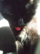 ファイル 2861-1.jpg