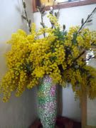 ファイル 2862-1.jpg