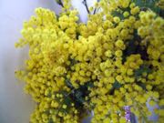 ファイル 2862-2.jpg