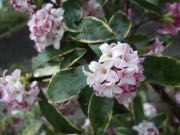 ファイル 2865-1.jpg