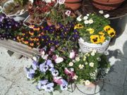 ファイル 2867-1.jpg