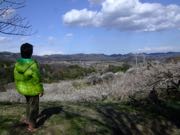 ファイル 2870-1.jpg