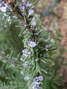 ファイル 2872-1.jpg